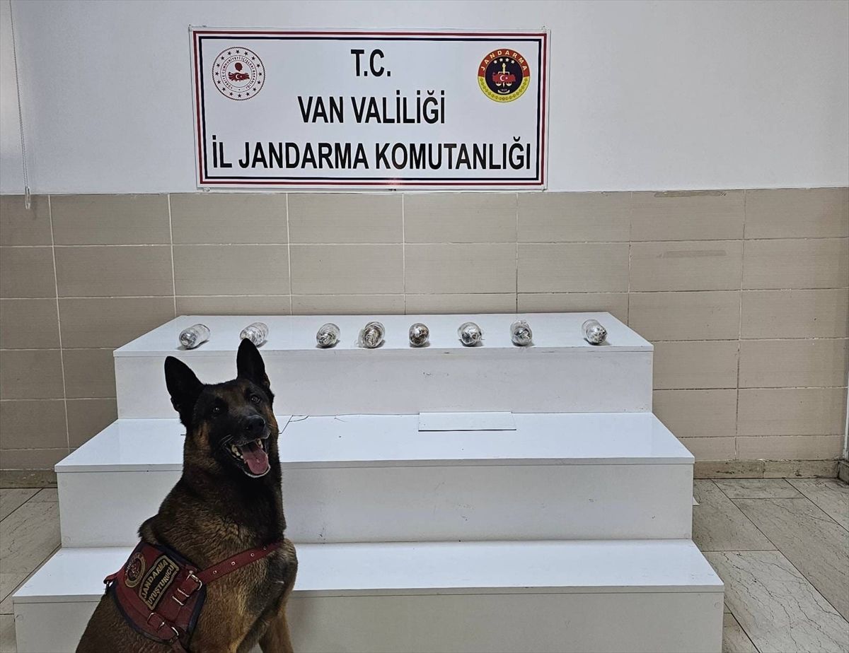 Van'da 1 kilo 256 gram uyuşturucu ele geçirildi