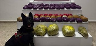 Van'da 31 kilo 551 gram uyuşturucu ele geçirildi