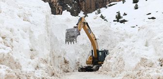 Van'da çığ nedeniyle 12 gündür kapalı olan yol açıldı
