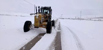 Van'da kardan kapanan 292 yerleşim yerinin yolu açıldı