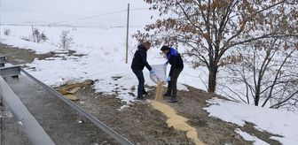 Van'da yaban kuşları için doğaya 1,5 ton buğday bırakıldı