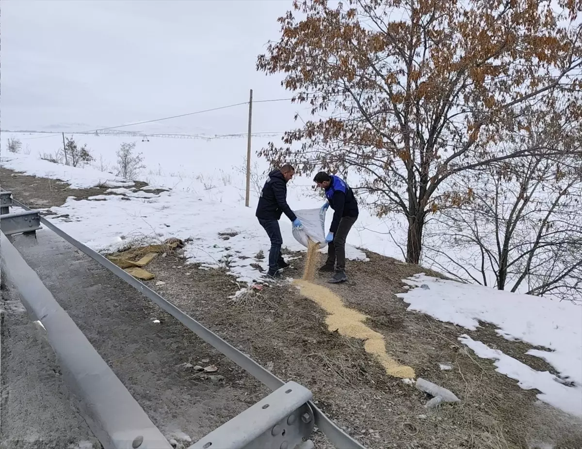 Van'da yaban kuşları için doğaya 1,5 ton buğday bırakıldı