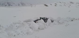 Van, Hakkari ve Bitlis'te kar ulaşımı aksattı