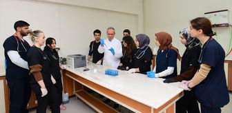 Van kedilerinde 'B' kan grubunun daha baskın olduğu belirlendi
