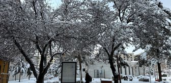 Van, Muş, Bitlis ve Hakkari'de 758 yerleşim yerine ulaşım sağlanamıyor