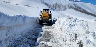 Van, Muş, Hakkari ve Bitlis'te 65 yerleşim yerine ulaşım sağlanamıyor