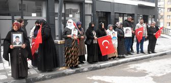 Vanlı aileler DEM Parti İl Başkanlığı önündeki eylemlerini sürdürdü
