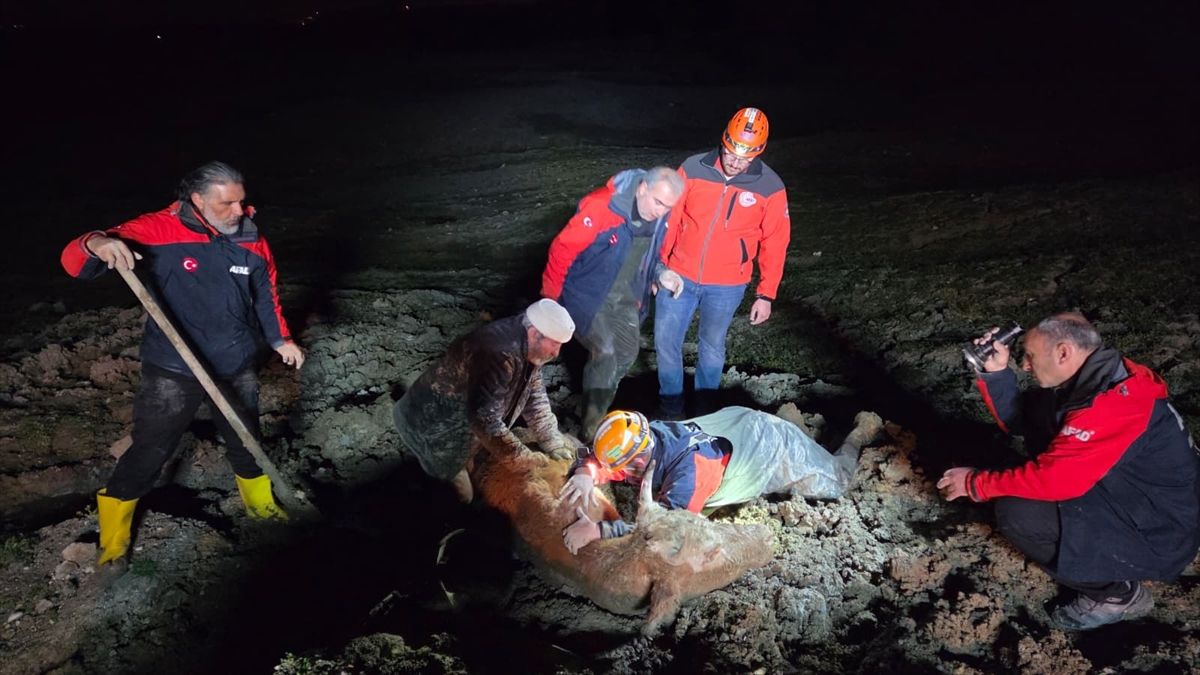 Yalova'da bataklıkta mahsur kalan vatandaş ile büyükbaş hayvanı kurtarıldı