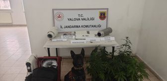 Yalova'da uyuşturucu operasyonunda bir zanlı yakalandı