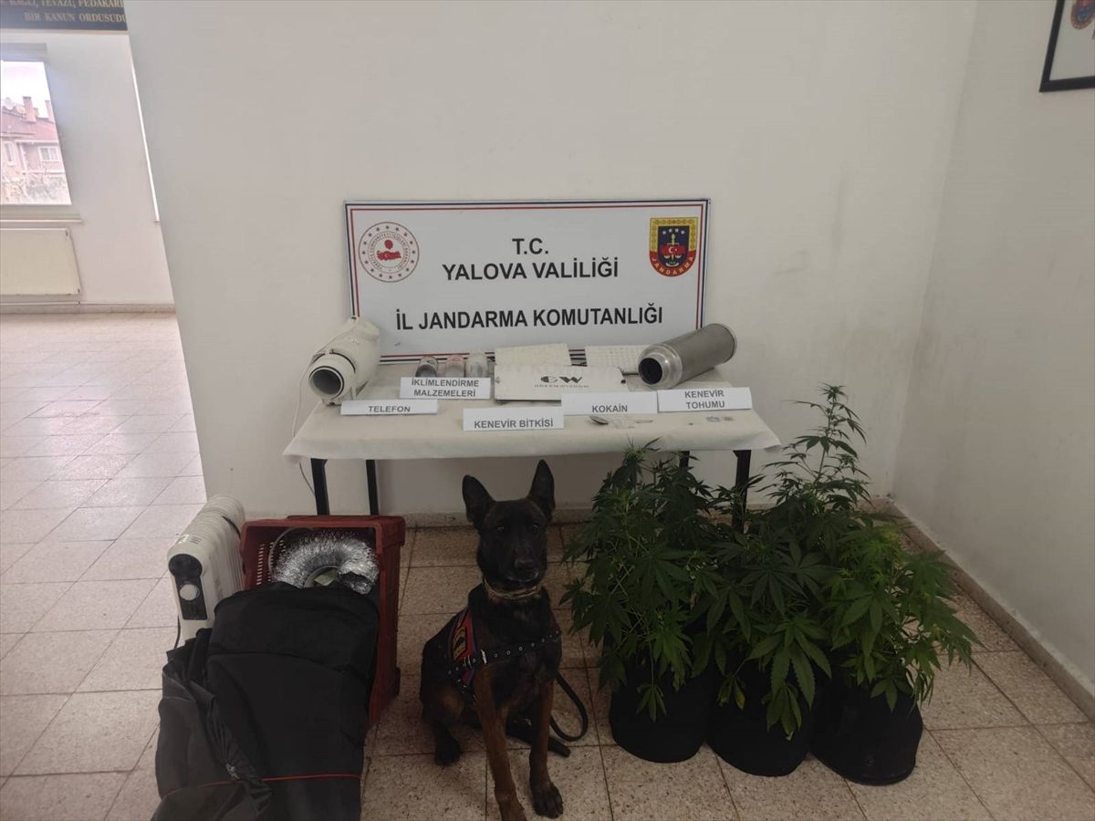 Yalova'da uyuşturucu operasyonunda bir zanlı yakalandı