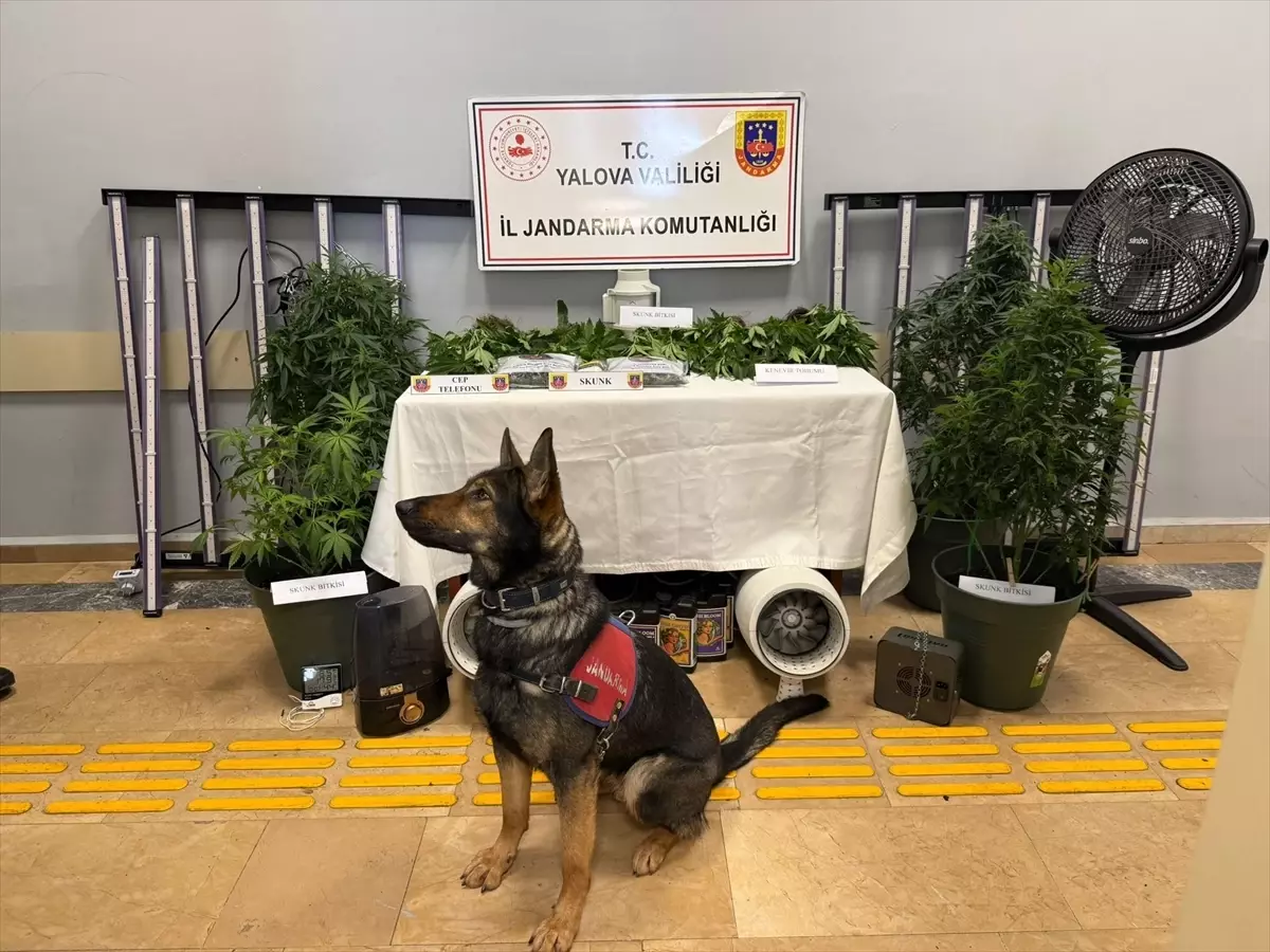 Yalova'da uyuşturucu operasyonunda yakalanan 2 zanlı tutuklandı