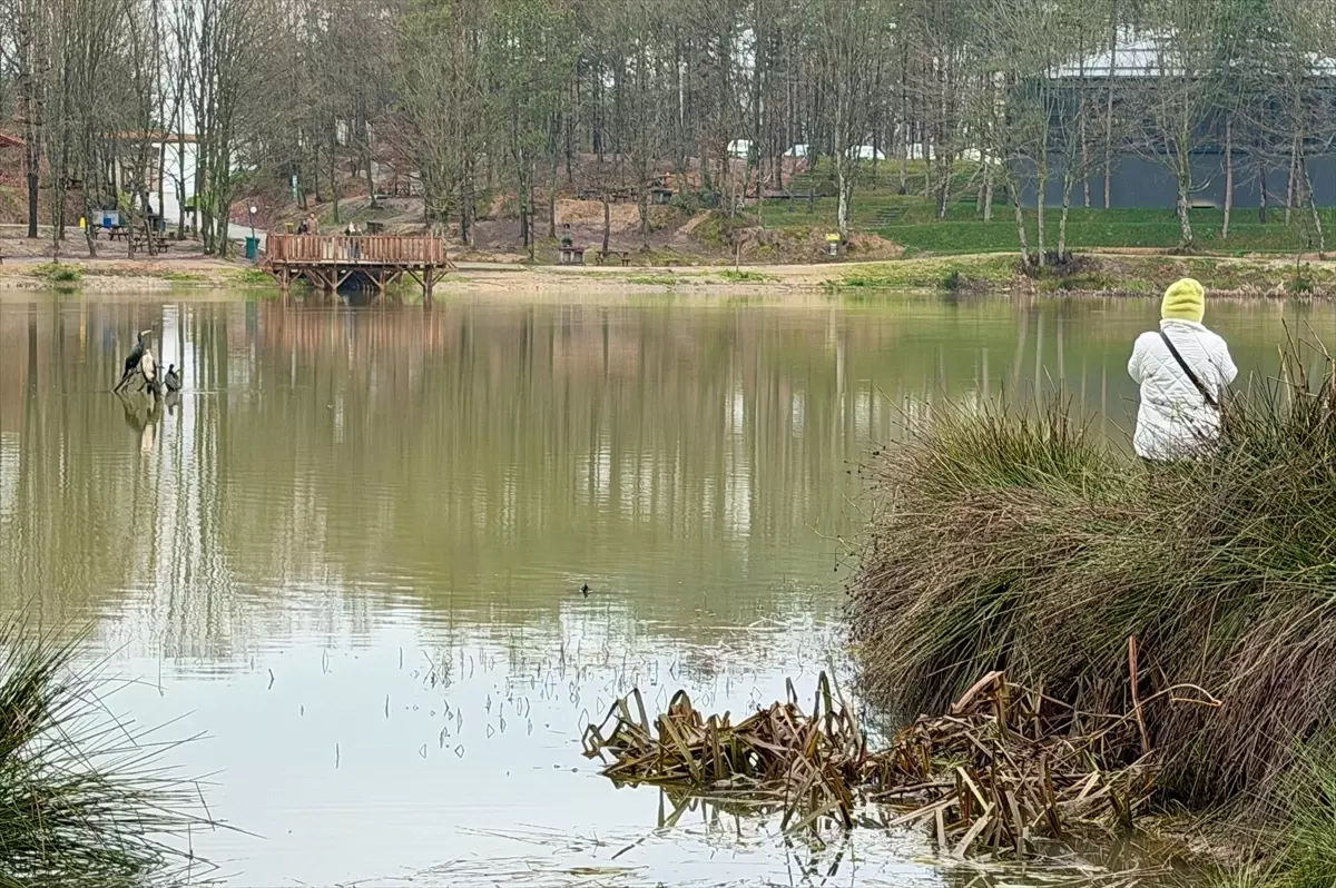 Yapılan yatırımlar Korugöl Tabiat Parkı'nı doğaseverlerin gözdesi haline getirdi
