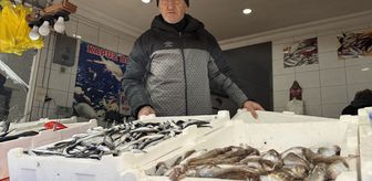 Zonguldak'ta balıkçılar bu sezon av miktarında umduğunu bulamadı
