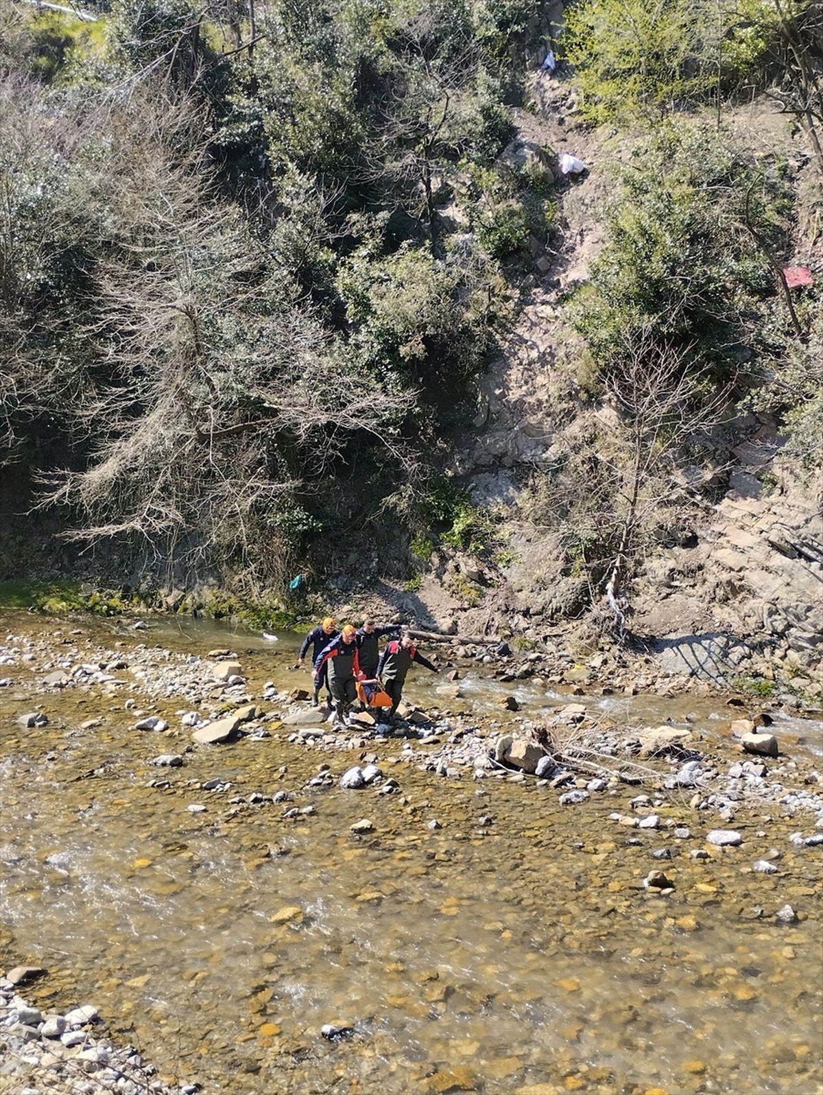 Zonguldak'ta defne yaprağı topladığı sırada yüksekten düşen kadın yaralandı