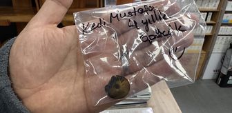 Zonguldak'ta kedinin yuttuğu vakumlu tutucu endoskopiyle çıkarıldı
