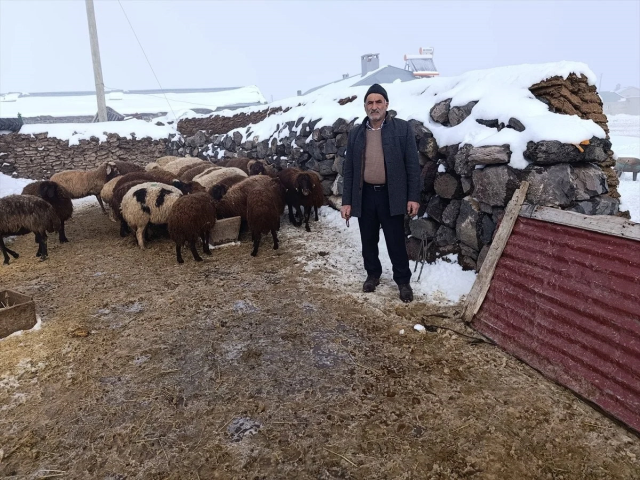 Donation that moved the citizen who lost 200 sheep in one night