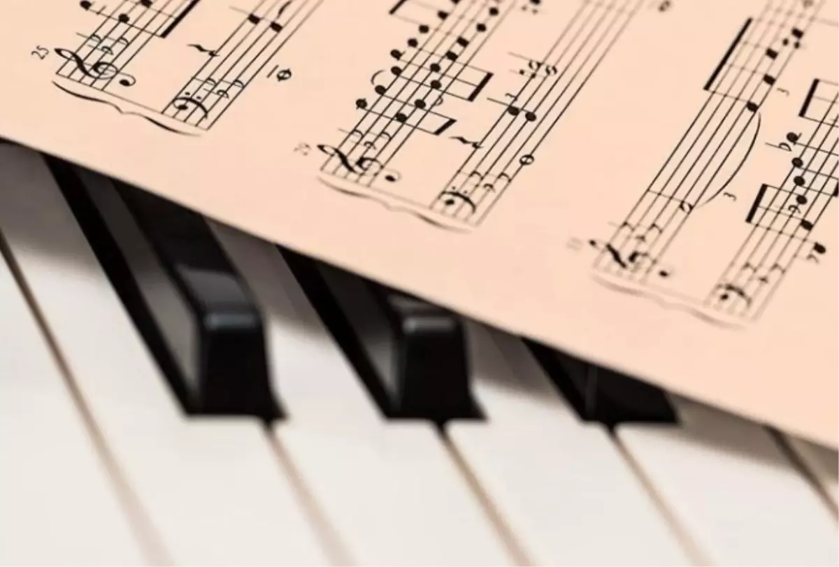 CapitaliZoo ne demek, CapitaliZoo anlamı ne (Beren Saat)?