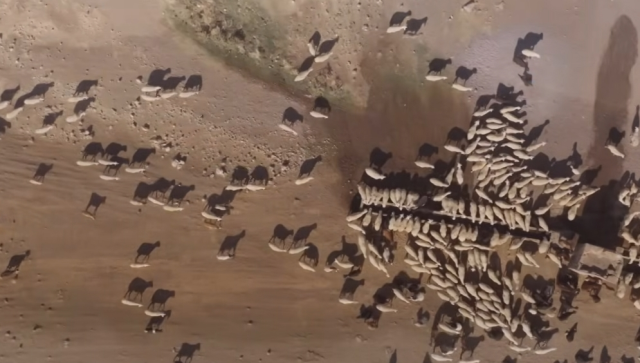 Sevdiğim Sensin Gözlükuyu Köyü nerede, Aksaray Eski Gözlükuyu Köyü konumu neresi?