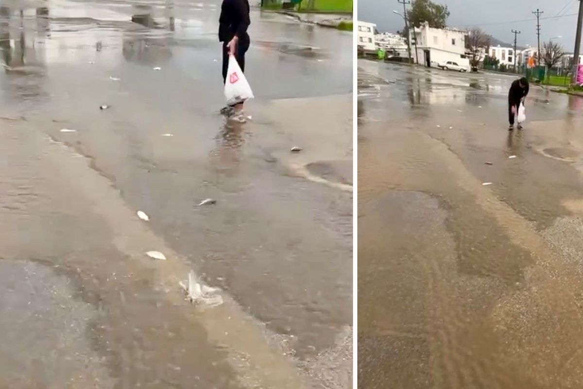 Gökten asfalta balık yağdı, poşetini kapan topladı