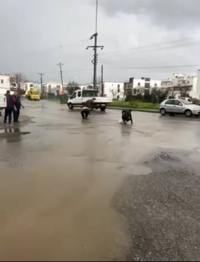 bodrum da saganak baskini golet tasti asfalta 19564892 768 m