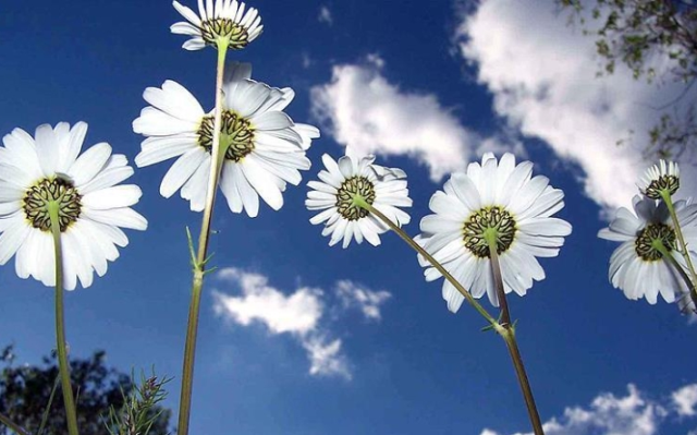 İlk cemre düştü mü, 2026 cemreler ne zaman düşecek?