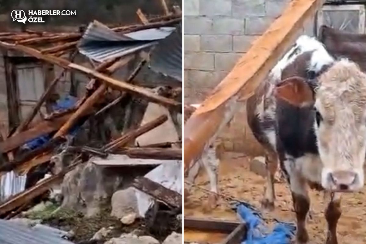 Kenti hortum vurdu! Besici ve üreticilerin kaybı büyük