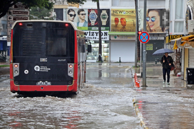 The city was flooded, a dead calf washed ashore on the world-famous beach