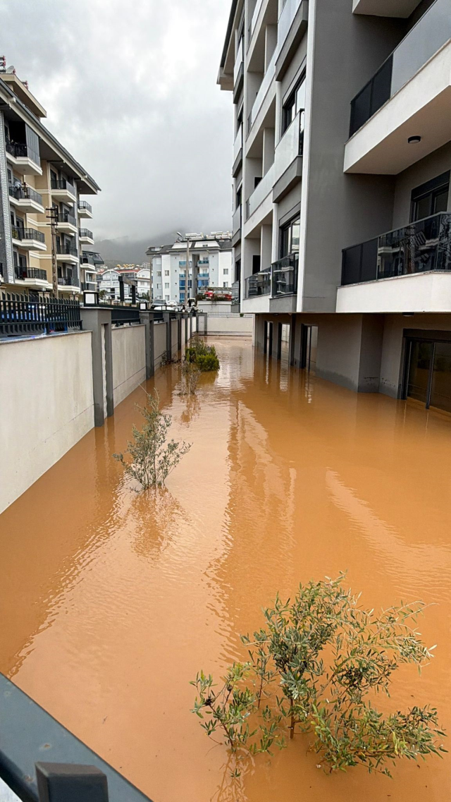 The city was flooded, a dead calf washed ashore on the world-famous beach