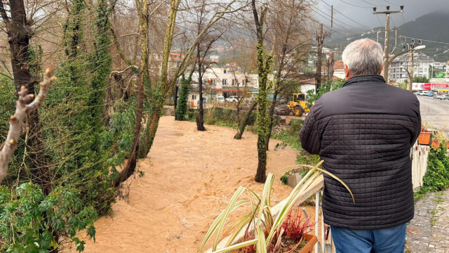 The city was flooded, a dead calf washed ashore on the world-famous beach