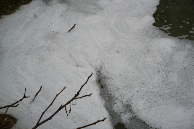 Heavy odors rise from the bubbling stream