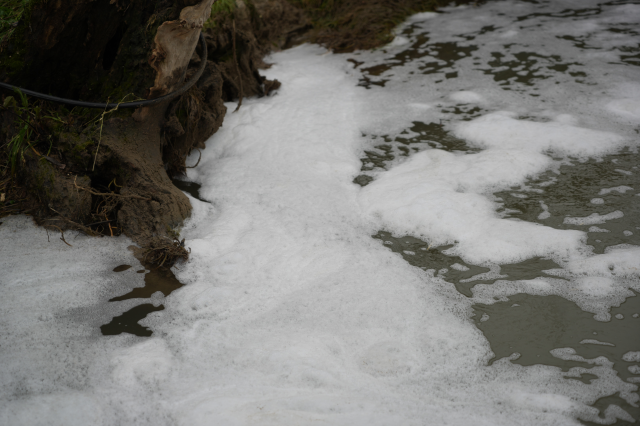 Heavy odors rise from the bubbling stream