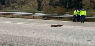 Osmaniye'de otoyolda temizlik yaparken otomobilin çarptığı 4 işçiden biri öldü