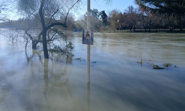 Heavy rain in Antalya caused damage in 6 districts, trapped animals were rescued