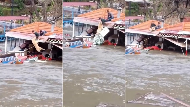 Heavy rain in Antalya caused damage in 6 districts, trapped animals were rescued
