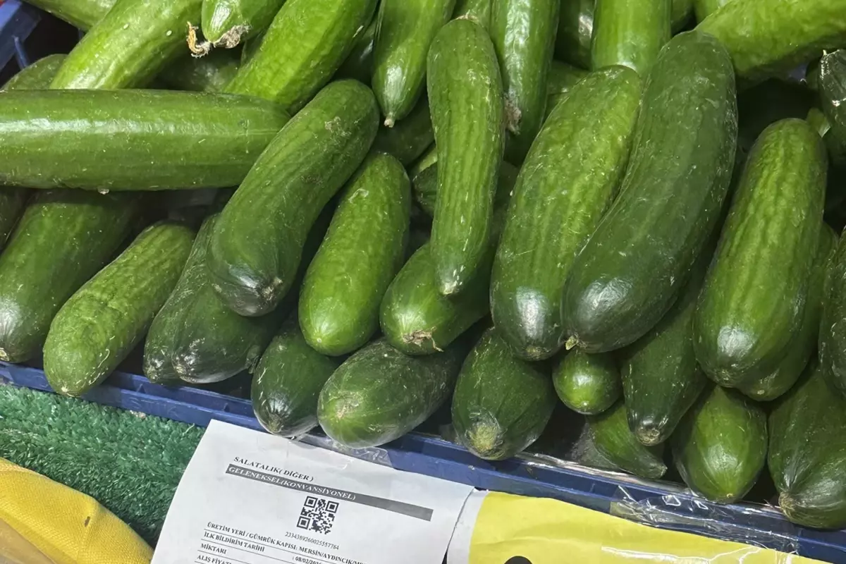 Bu nasıl bir kar marjı? 129 TL'ye satılan salatalığın alış fiyatı isyan ettirdi