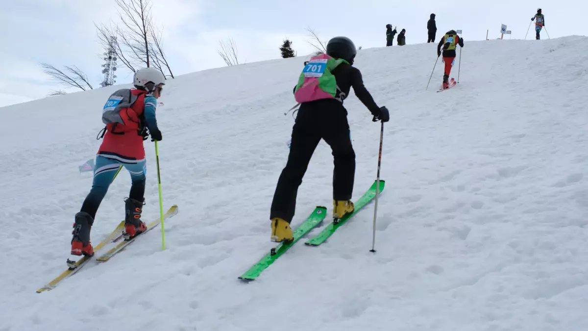 Dağ Kayağı Türkiye Şampiyonası Rize'de başladı
