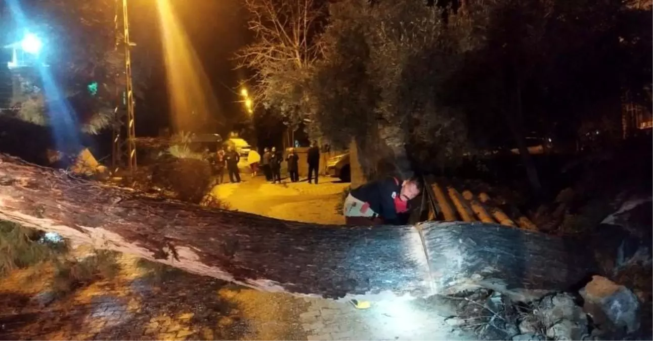 Defne'de devrilen ağaç yolu kapattı