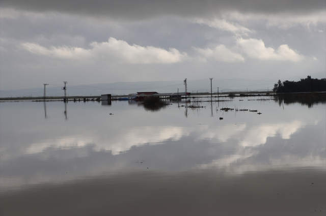 Heavy rain in Hatay hit agricultural lands