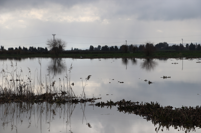 Heavy rain in Hatay hit agricultural lands