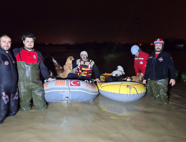 The city is experiencing a disaster! Even the restaurant was swept away