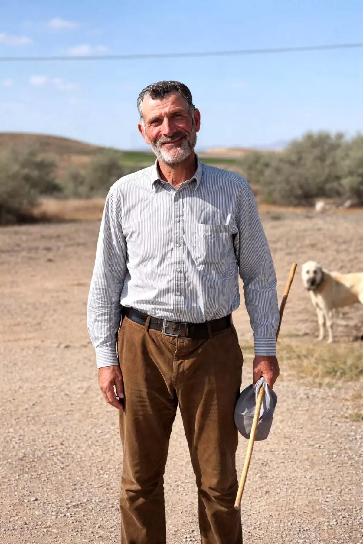 Kırşehir'de elektrik akımına kapılan şahıs hayatını kaybetti