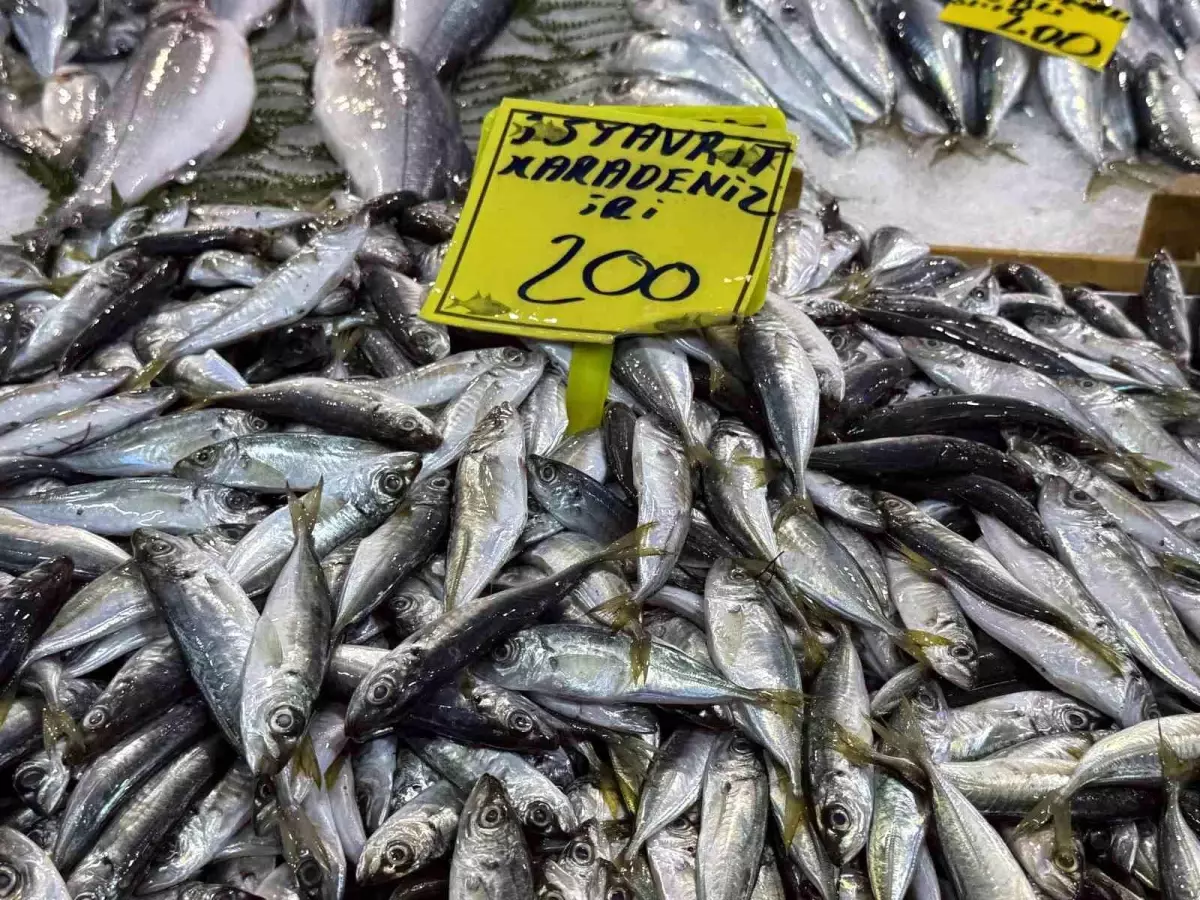 Kocaeli'de balık tezgahlarındaki son durum