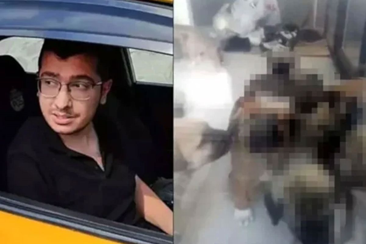 Köpeklere yaptıkları kan dondurmuştu! Sapık doktorun cezası 9 yıldan 4 yıla düşürüldü