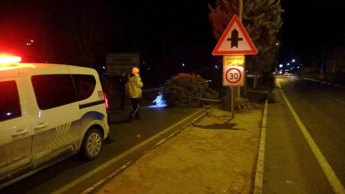 Malatya'da fırtına ağaçları kökünden söktü