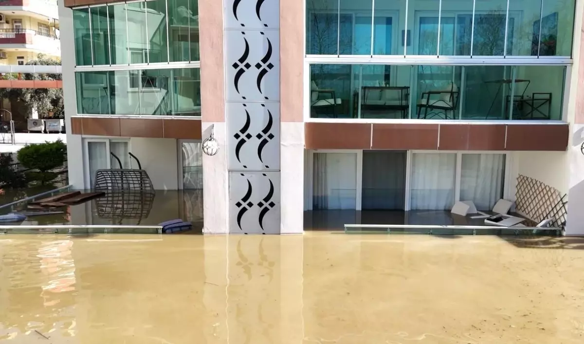 Taşan çaydaki işletme yıkıldı, sulara kapılmak üzere olan bir köpek son anda kurtarıldı