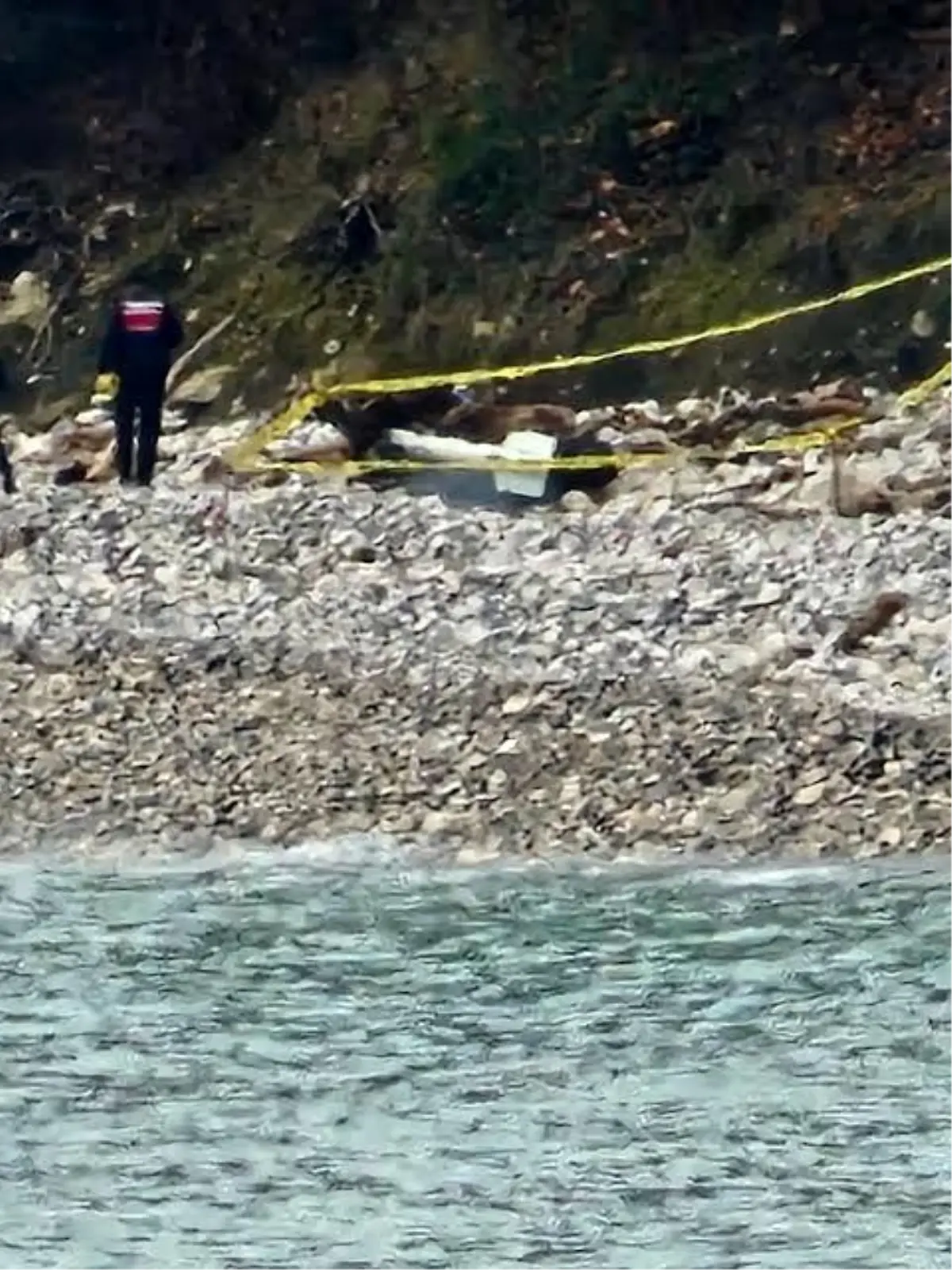 Türkeli'de kıyıya vuran şüpheli cisim korkuttu