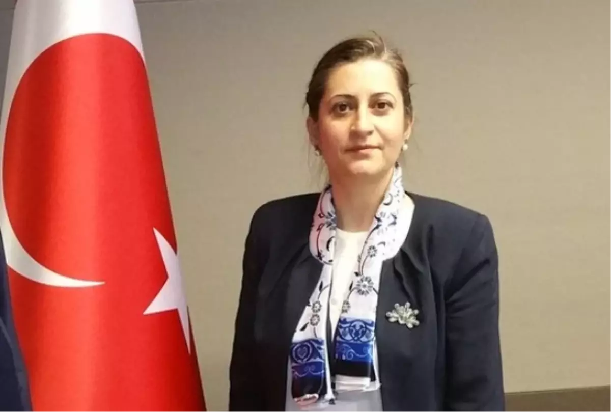 Yeni Senegal Büyükelçisi Dilşad Kırbaşlı Karaoğlu kimdir? Dilşad Kırbaşlı Karaoğlu hayatı ve biyografisi!