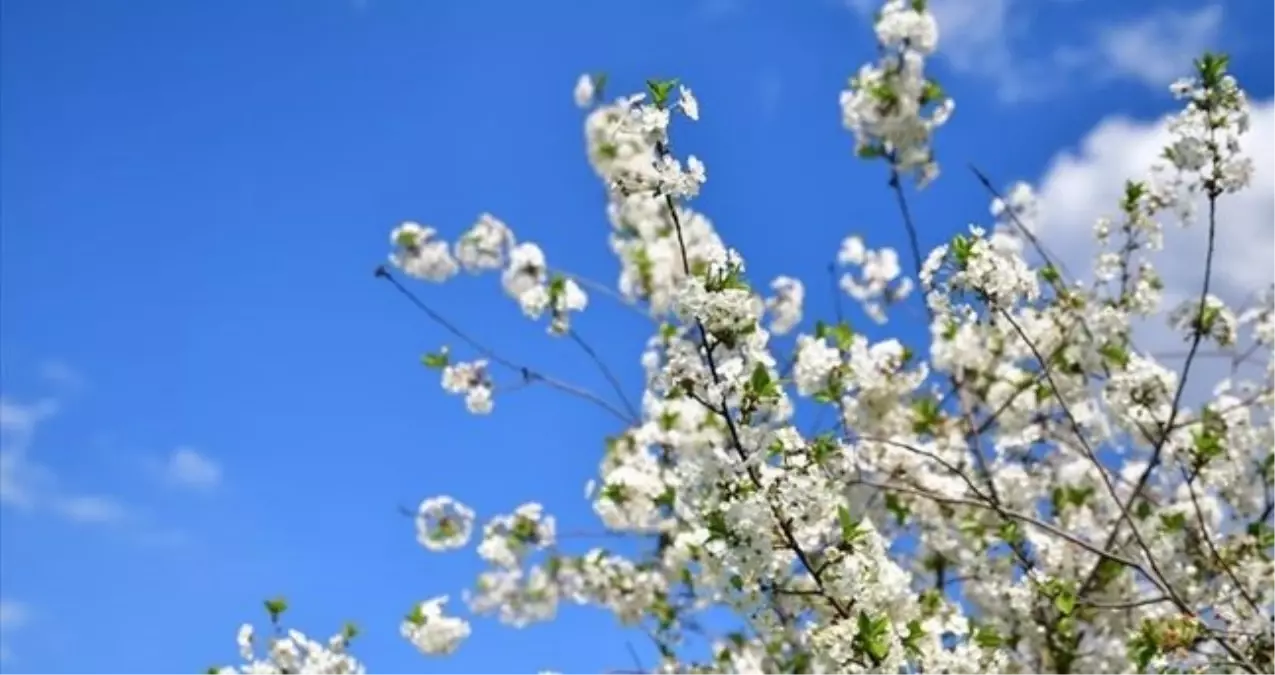Cemre ne zaman düşecek? Birinci, ikinci ve üçüncü cemre ne zaman nereye düşecek? Cemre havaya, suya ve top...
