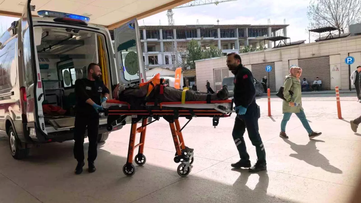 Ceviz ağacından düşen yaşlı adam ağır yaralandı