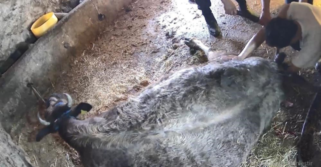 inege sezaryen yapan adamdan aciklama cagirdilar 19570164 6317 m